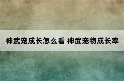 神武宠成长怎么看 神武宠物成长率